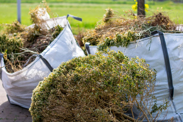 Best Electronics Removal Services  in Ridgecrest, CA